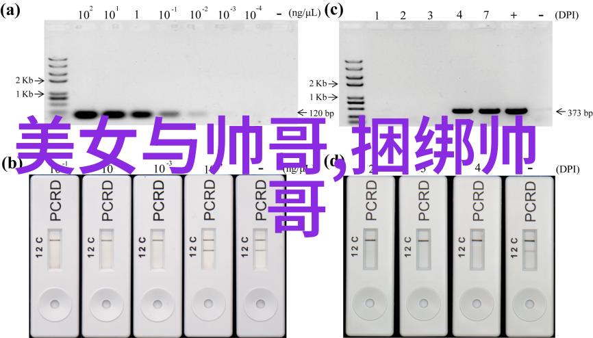 日韩中文字幕艺术探究字幕文化的国际交流与审美融合