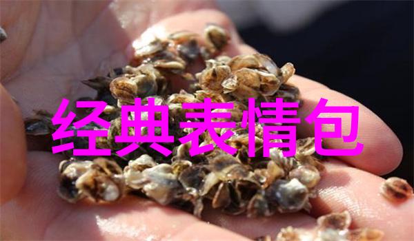 全球模特盛宴年度最具影响力的国际猫walk秀场精选照片集锦