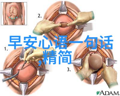 傣族的传统节日我的春天在这里跳跃