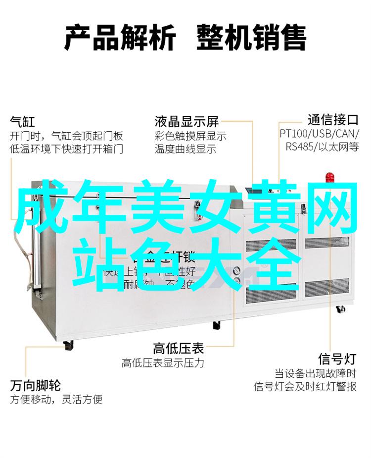 12.9是什么节日揭秘这一特殊日期背后的文化意义与庆祝方式