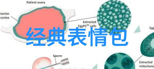 早晨的礼赞品位与和谐的早安之语