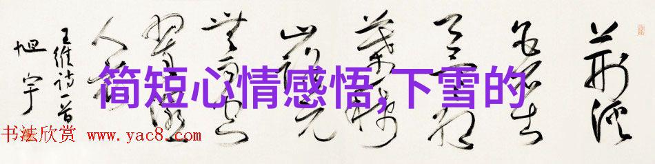 冬至的暖意12月9日阳光下的庆典