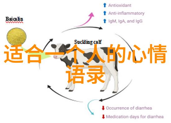 百炼成仙传最新章节通天之路的艰辛与突破