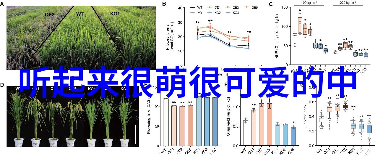 七月七日儿童节的传统与现代表情图探索