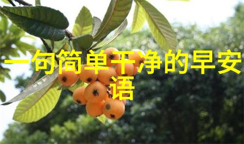 言教授要撞坏了小说全文我怎么就让言教授看到我写的小说全文了