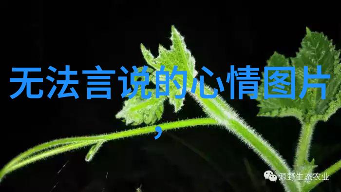 超级搞笑萌宠图片大全让你笑到不停