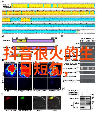 中元节是什么节日-探索传统与现代的中秋佳节文化