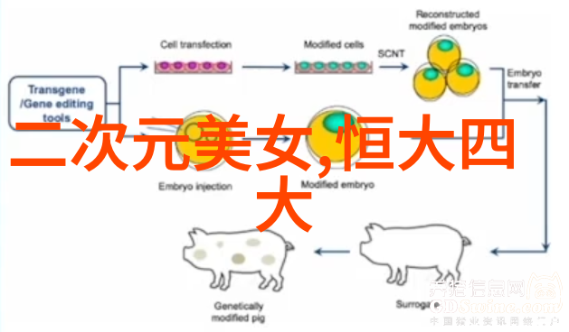 高速追逐与死亡剖析公路虐杀类影视作品的紧张氛围