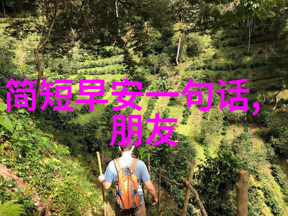 天涯明月刀原著云深不知处的江湖梦