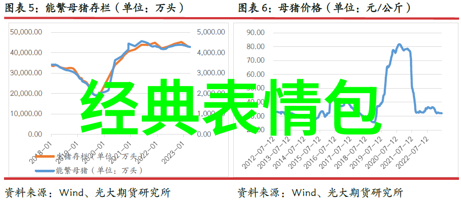 天空影视银幕下的星辰与梦想