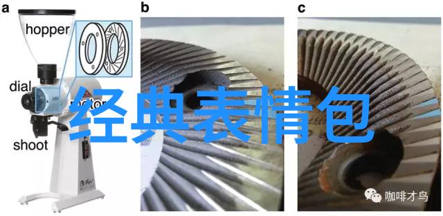 当画布变成舞台动物角色的演绎艺术与趣味结合体验