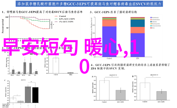 洛希极限我是如何在技术的边缘与洛希极限做斗争的