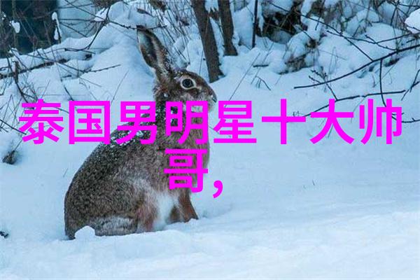 雪花飘落街上行人齐声问雪大了吗