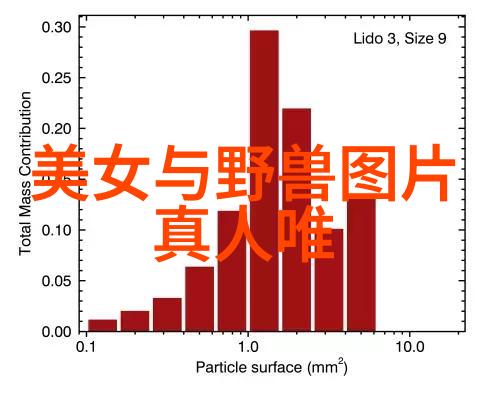 中国帅哥省份大比拼从北方汉子到南方小生哪个地区最吸引眼球