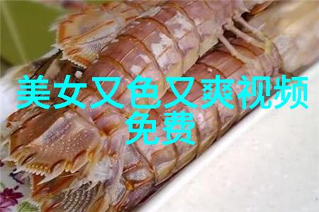 星光闪耀缺席的三位演员