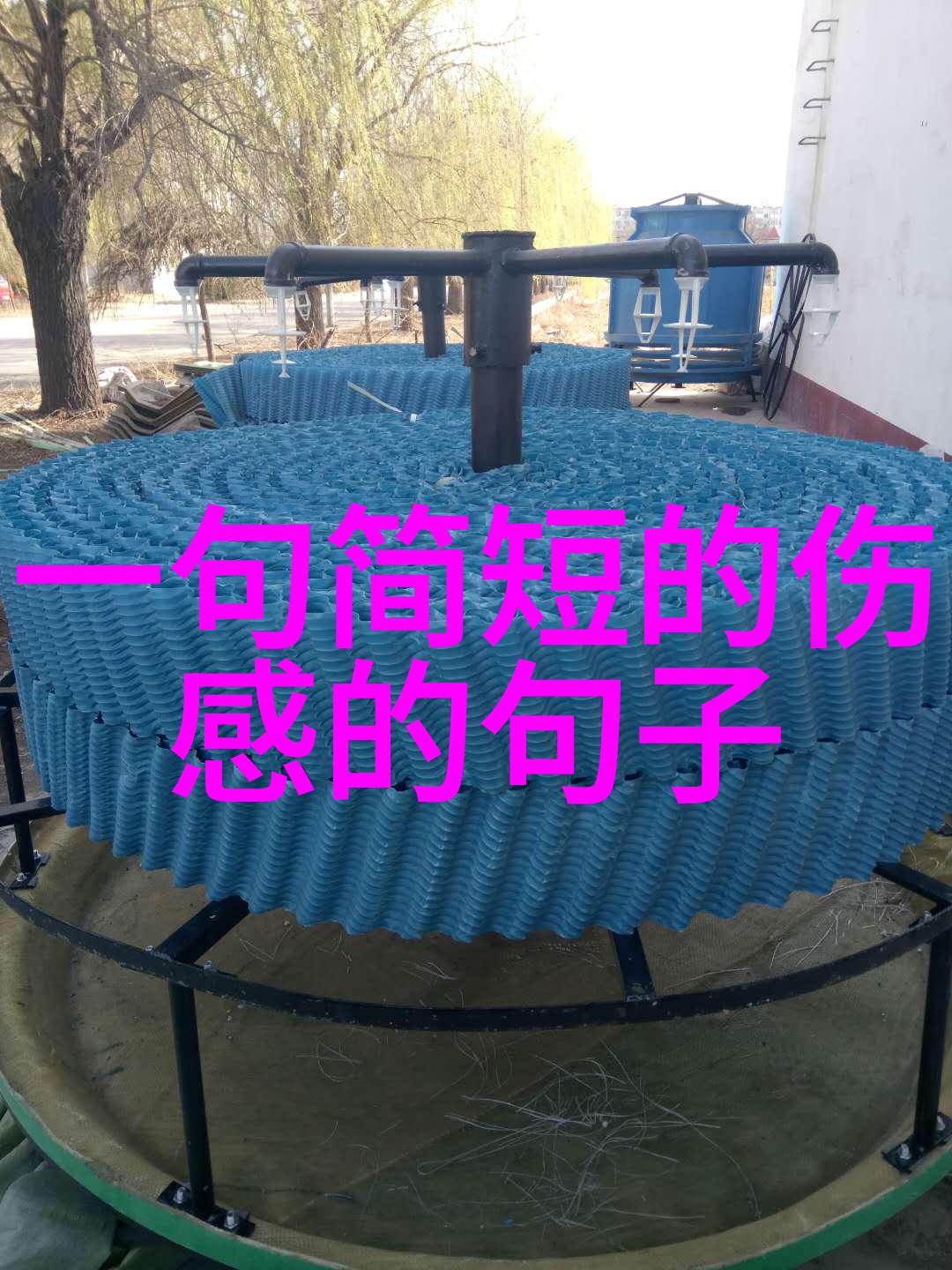 揭秘世界惊悚电影前十名恐怖影史的巅峰之作