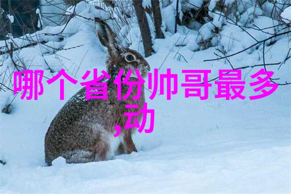 幻想全明星梦幻音乐盛典